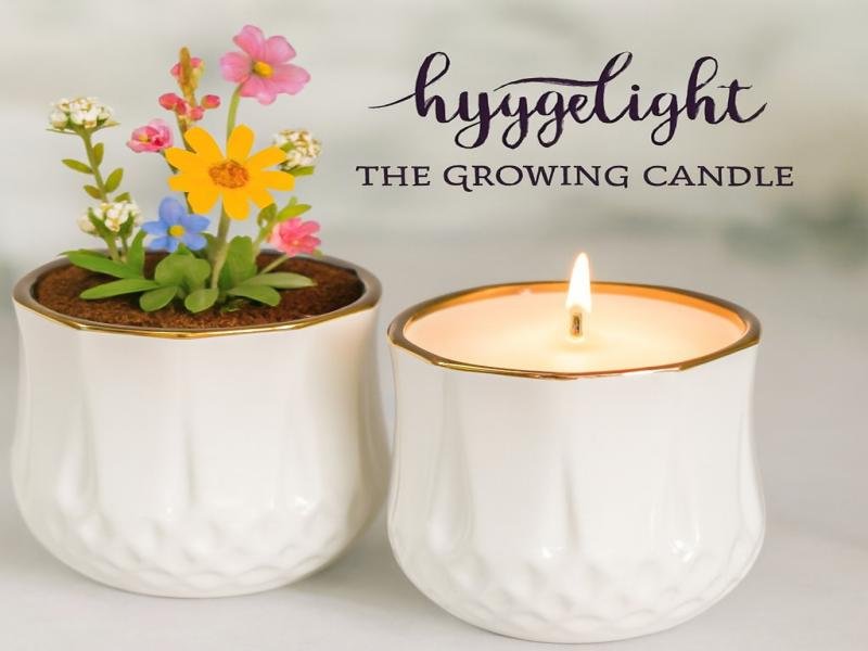 The Growing Candle A Premium Choice for Mindful Living and Home Fragrance